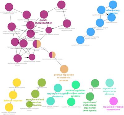 Circulating miRNAs in maternal plasma as potential biomarkers of early pregnancy in sheep